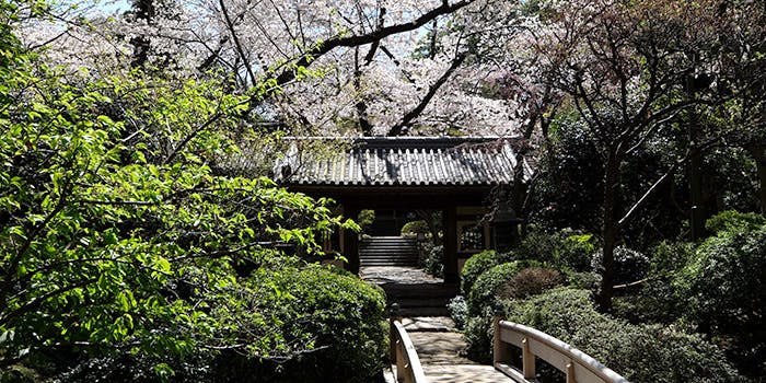 桜が見える席で優雅に♪ 東京でお花見を楽しめるレストラン16選！の画像