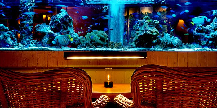 26位 アクアリウムダイニング/景色◎「アクアリウム&ワインダイニング ライム イタリアン 新宿3丁目店」の写真2