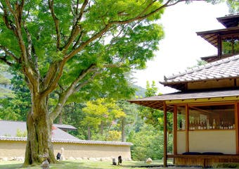 箱根・翠松園 紅葉の画像