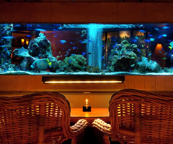個室 アクアリウム 魚介レストラン ライムイタリアン 新宿三丁目駅前店 Okaimonoモール レストラン 個室 アクアリウム 魚介レストラン ライムイタリアン 新宿三丁目駅前店 Okaimonoモール レストラン