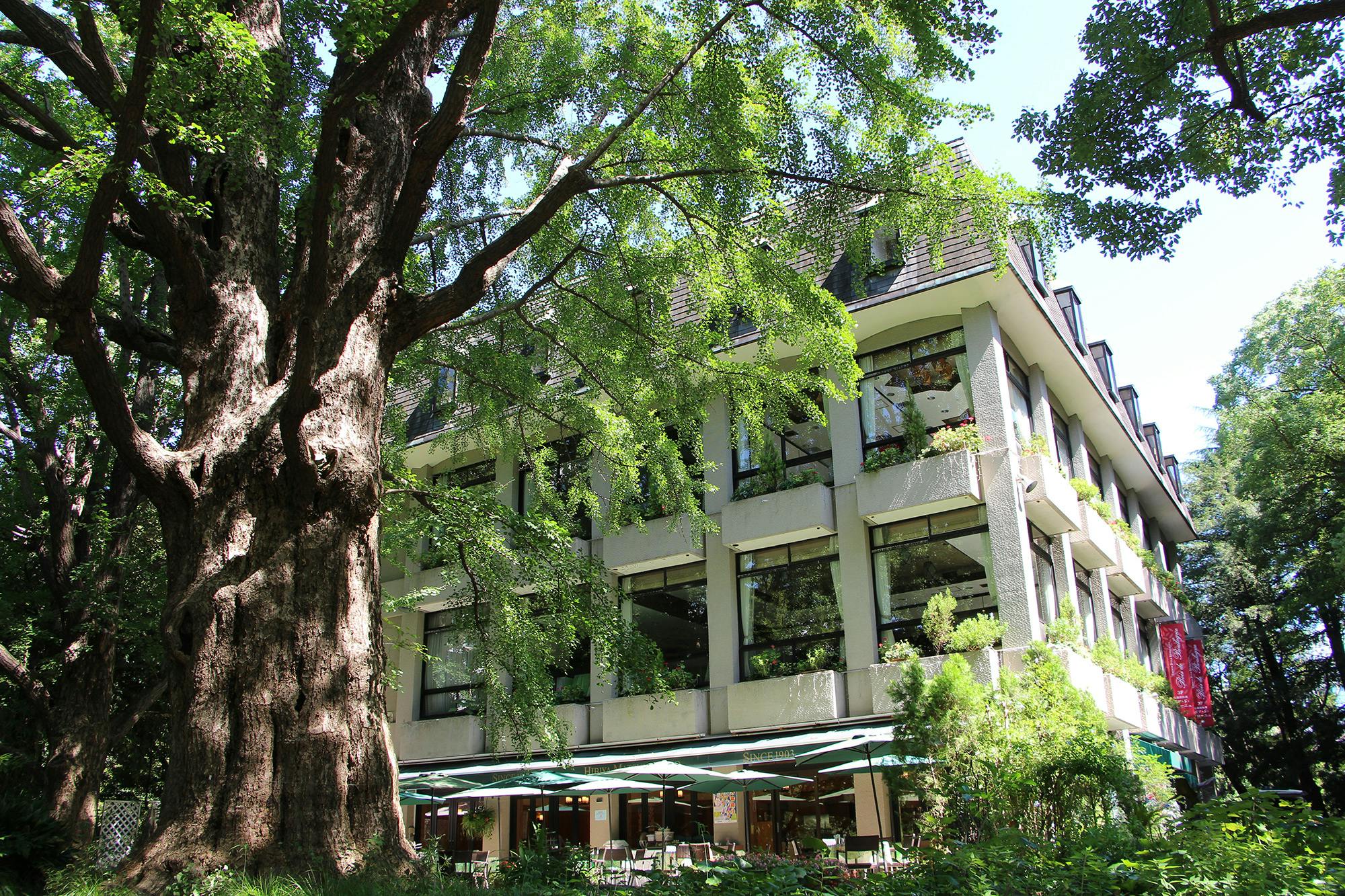 九段下ディナー 女子会におすすめおしゃれなレストラン45選 Okaimonoモール レストラン