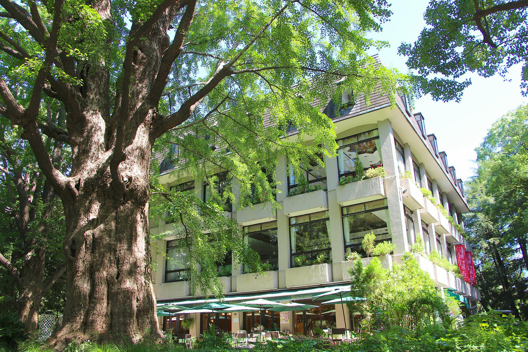 九段下ディナー 女子会におすすめおしゃれなレストラン45選 Okaimonoモール レストラン 九段下ディナー 女子会におすすめおしゃれなレストラン45選 Okaimonoモール レストラン