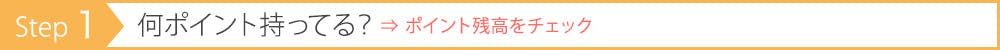 STEP 01:何ポイント持ってる?⇒ポイント残高をチェック